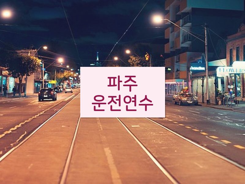 파주운전연수 후기