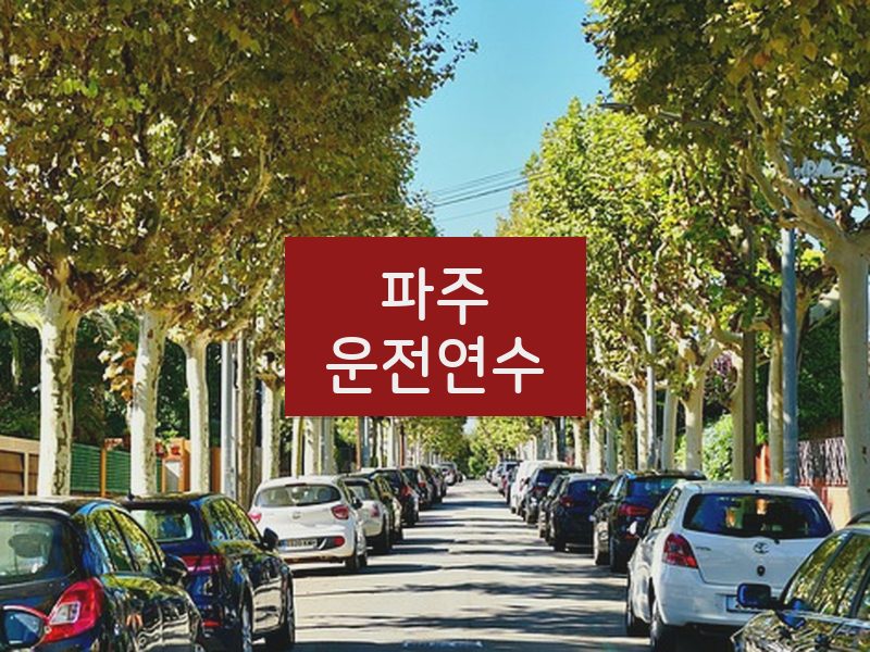 파주운전연수 후기
