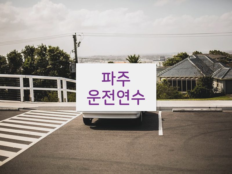 파주운전연수 후기
