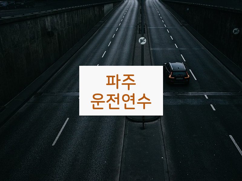 파주운전연수 후기