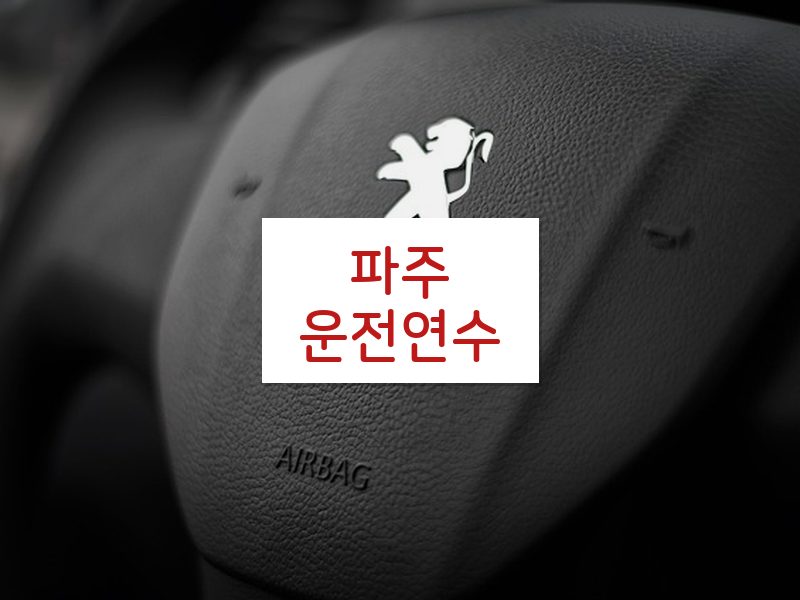 파주운전연수 후기