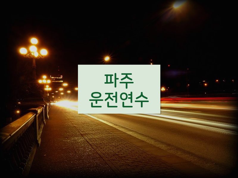 파주운전연수 후기