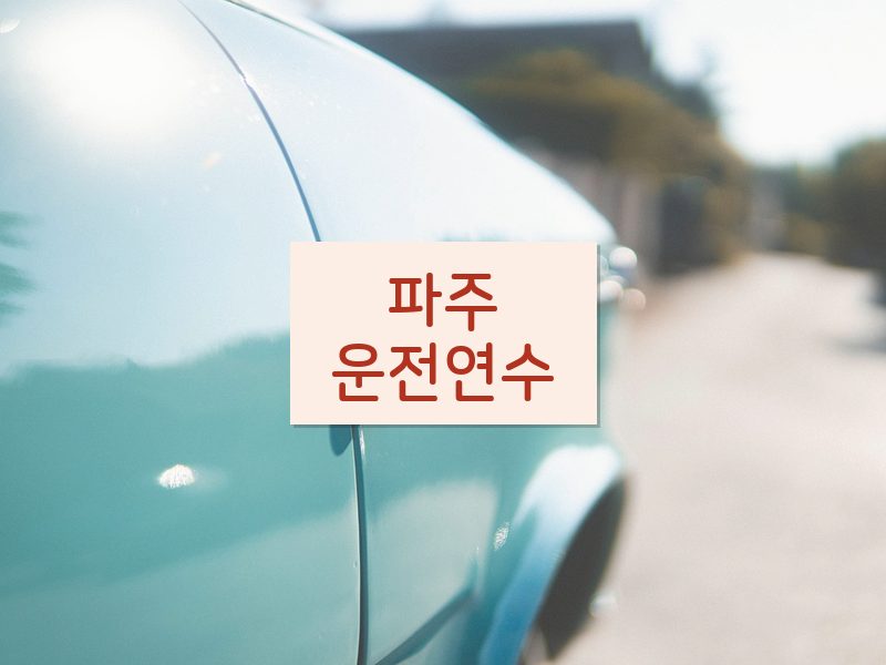 파주운전연수 후기