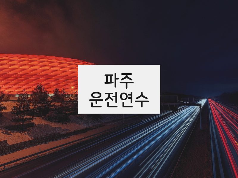 파주운전연수 후기