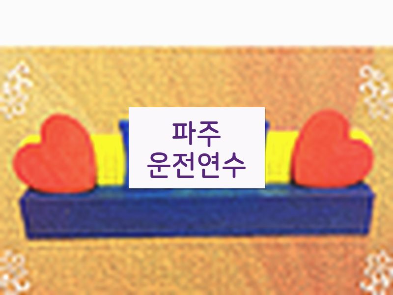 파주운전연수 후기