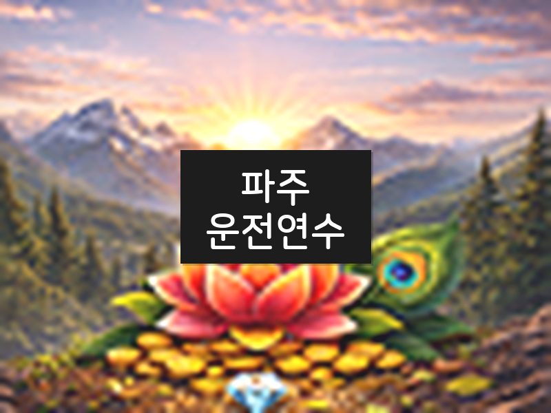 파주운전연수 후기