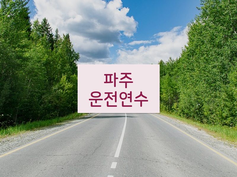 파주운전연수 후기