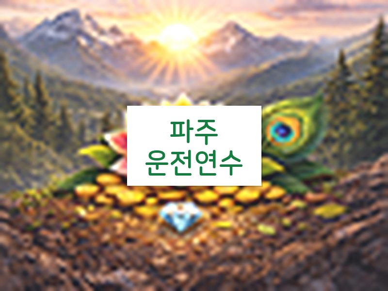 파주운전연수 후기