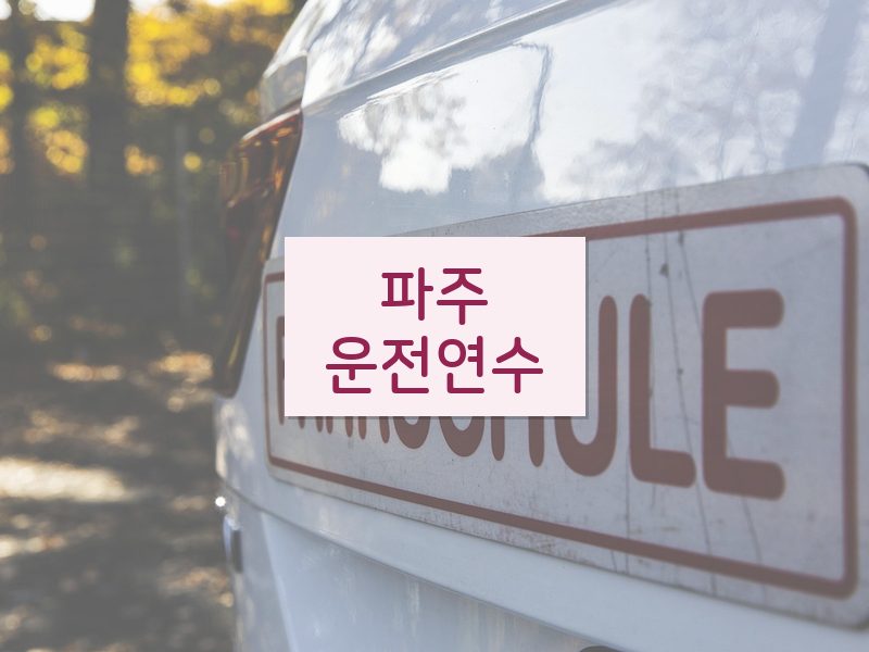 파주운전연수 후기