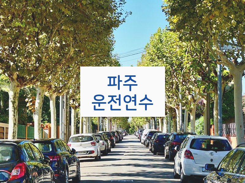 파주운전연수 후기