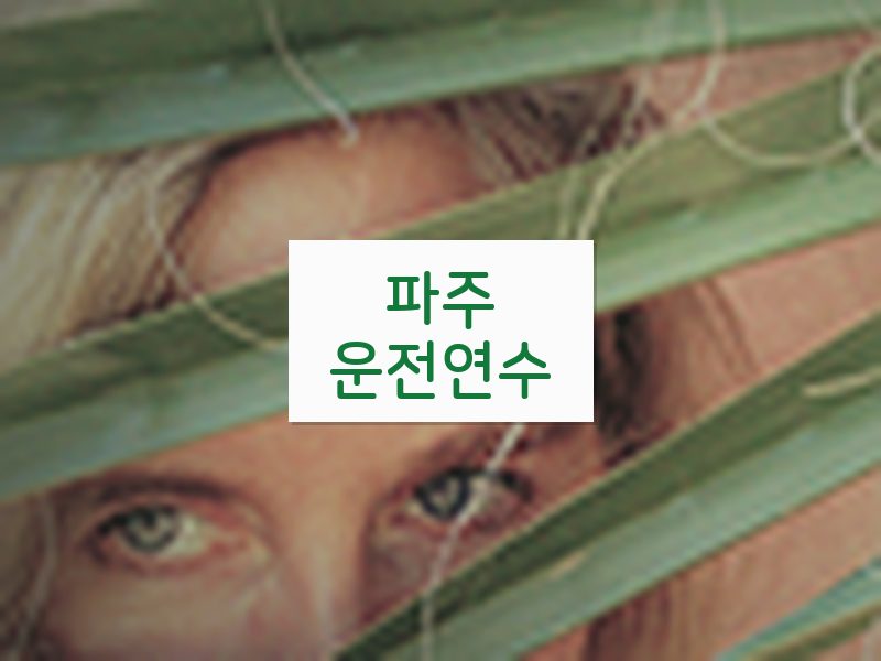 파주운전연수 후기