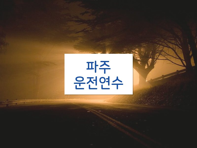 파주운전연수 후기