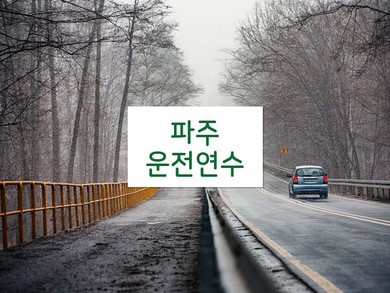 파주운전연수 후기
