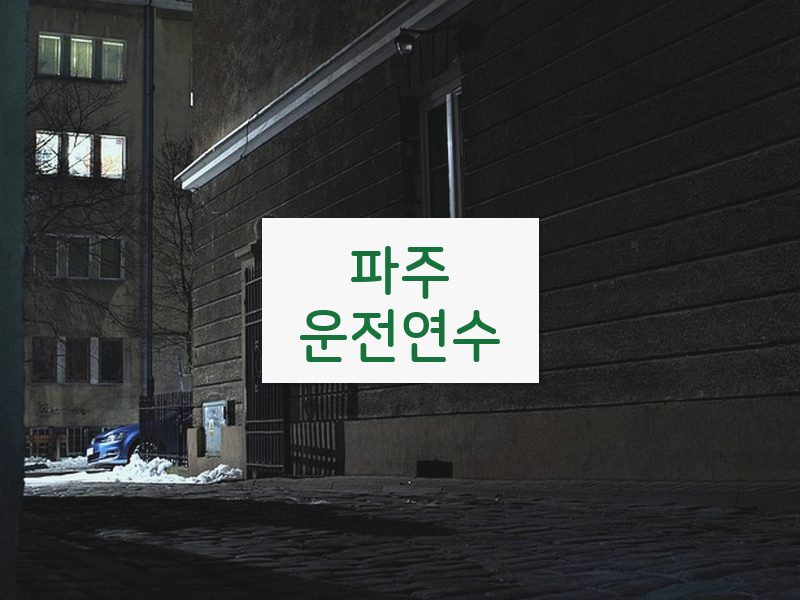 파주운전연수 후기