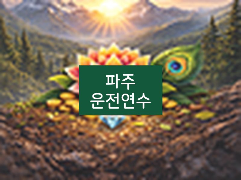 파주운전연수 후기