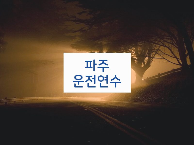 파주운전연수 후기