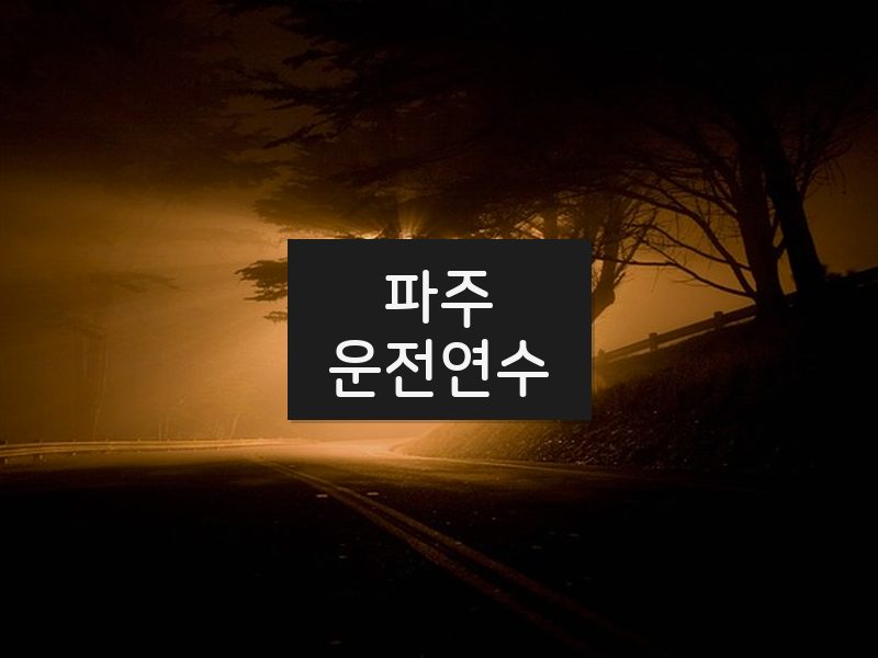 파주운전연수 후기