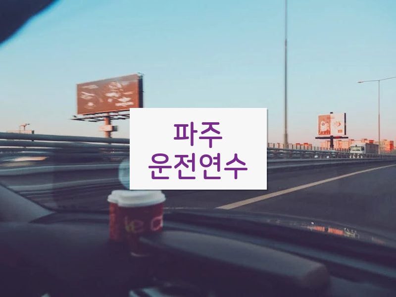 파주운전연수 후기