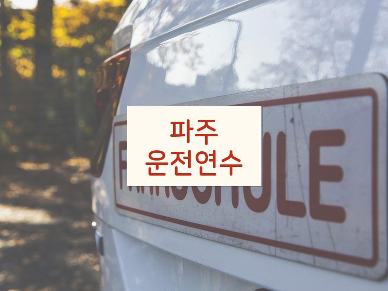 파주운전연수 후기