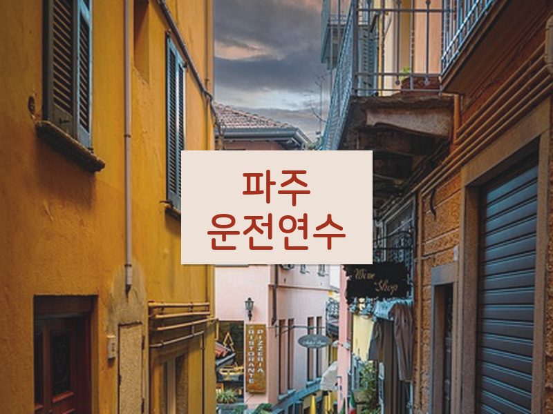 파주운전연수 후기