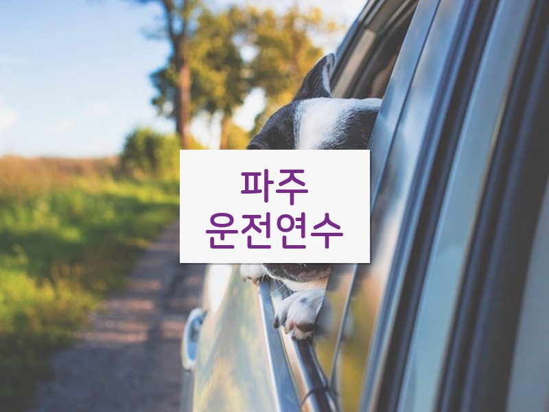 파주운전연수 후기