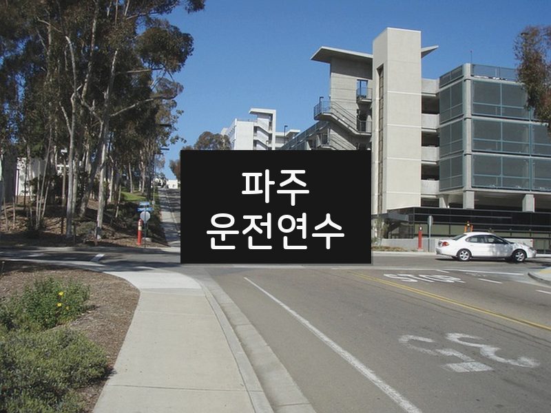파주운전연수 후기