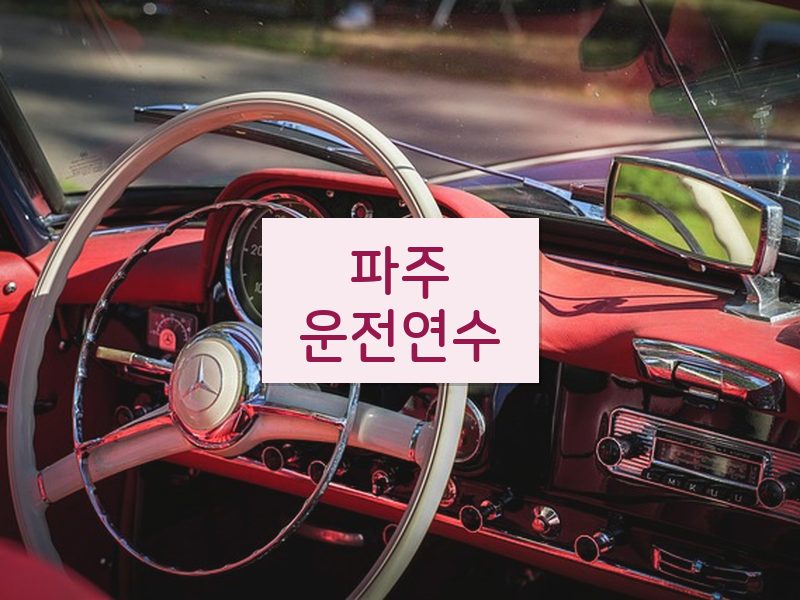 파주운전연수 후기