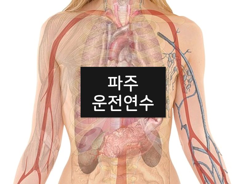 파주운전연수 후기