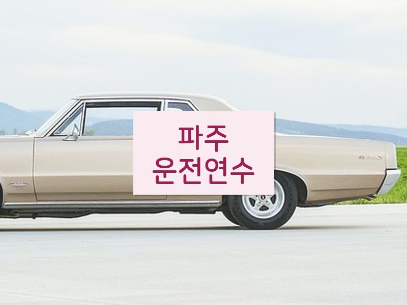 파주운전연수 후기