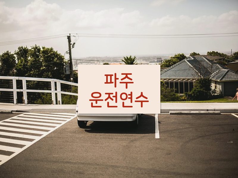 파주운전연수 후기