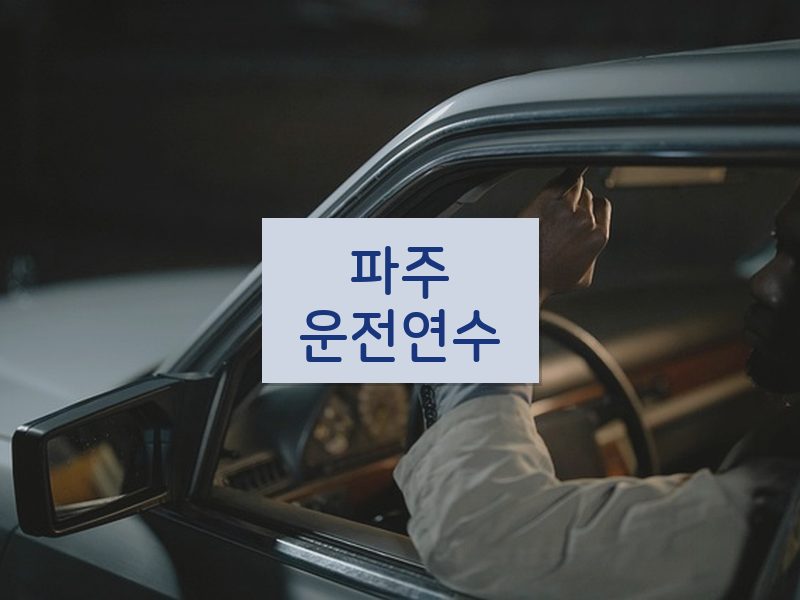 파주운전연수 후기