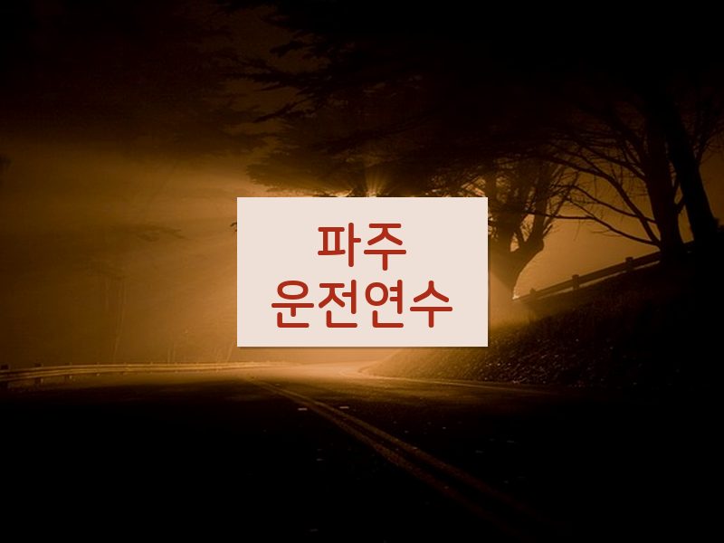 파주운전연수 후기