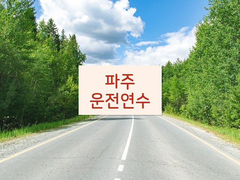 파주운전연수 후기