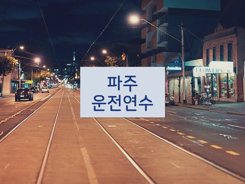 파주운전연수 후기