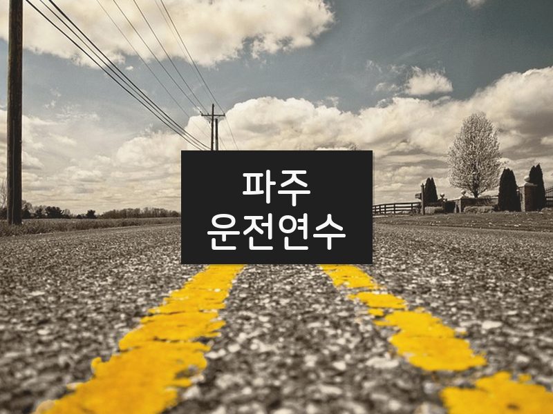 파주운전연수 후기