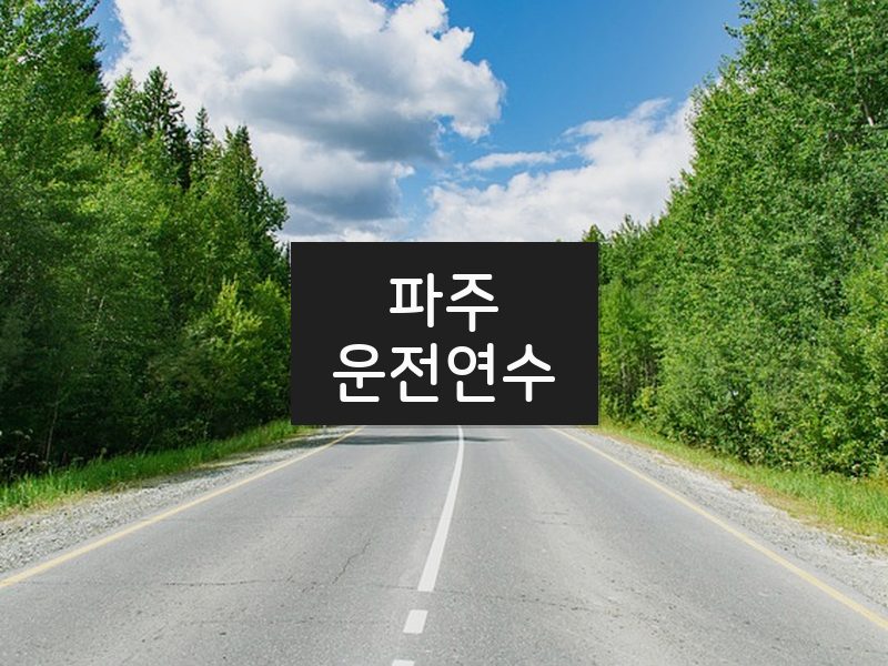 파주운전연수 후기