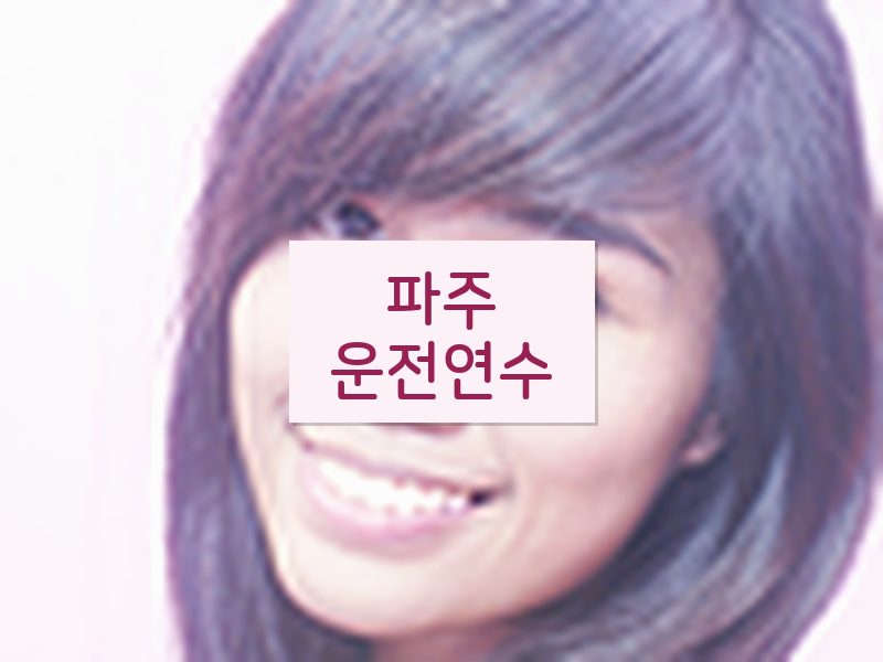 파주운전연수 후기