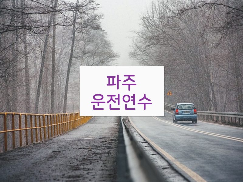 파주운전연수 후기