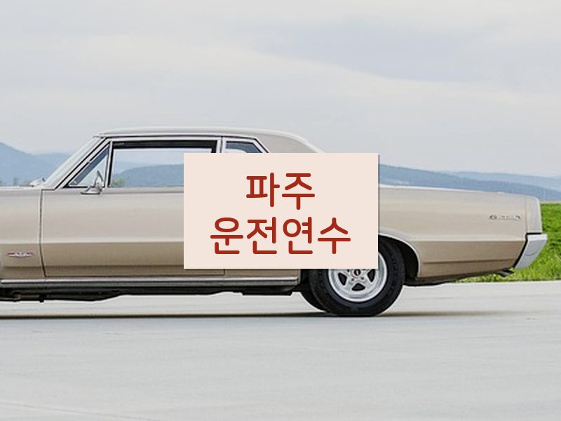 파주운전연수 후기