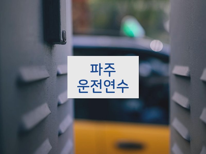 파주운전연수 후기