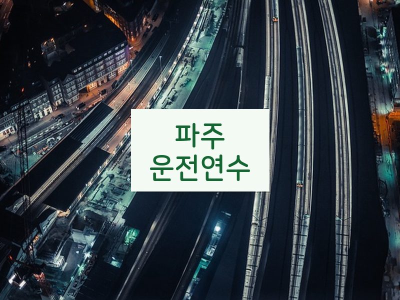 파주운전연수 후기
