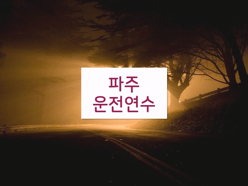 파주운전연수 후기