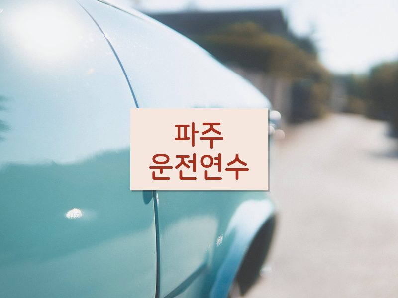 파주운전연수 후기