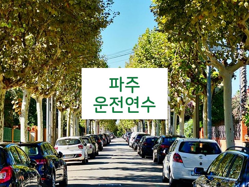 파주운전연수 후기