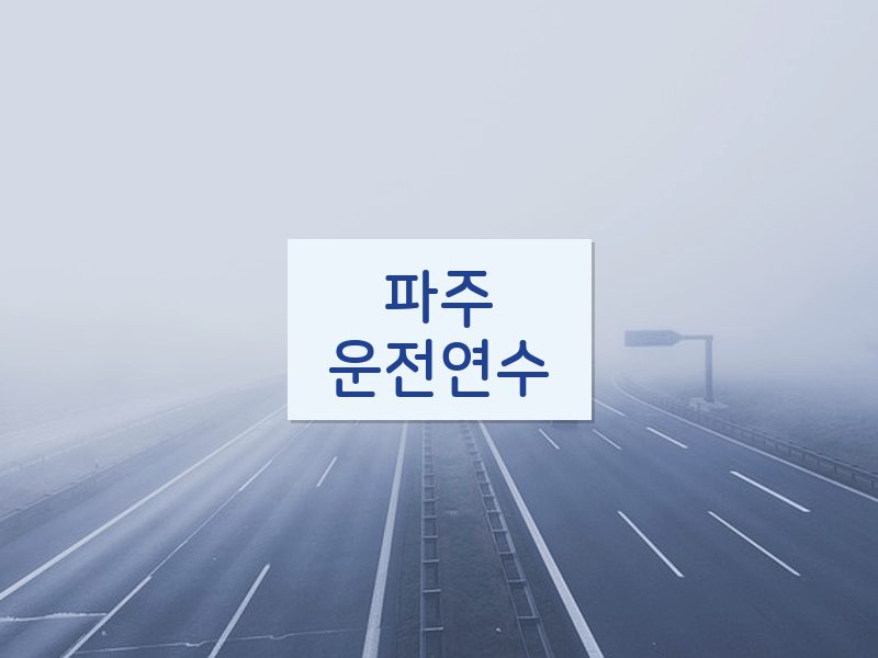 파주운전연수 후기
