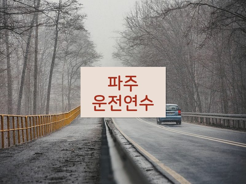 파주운전연수 후기