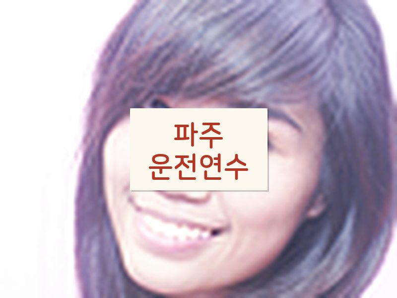 파주운전연수 후기