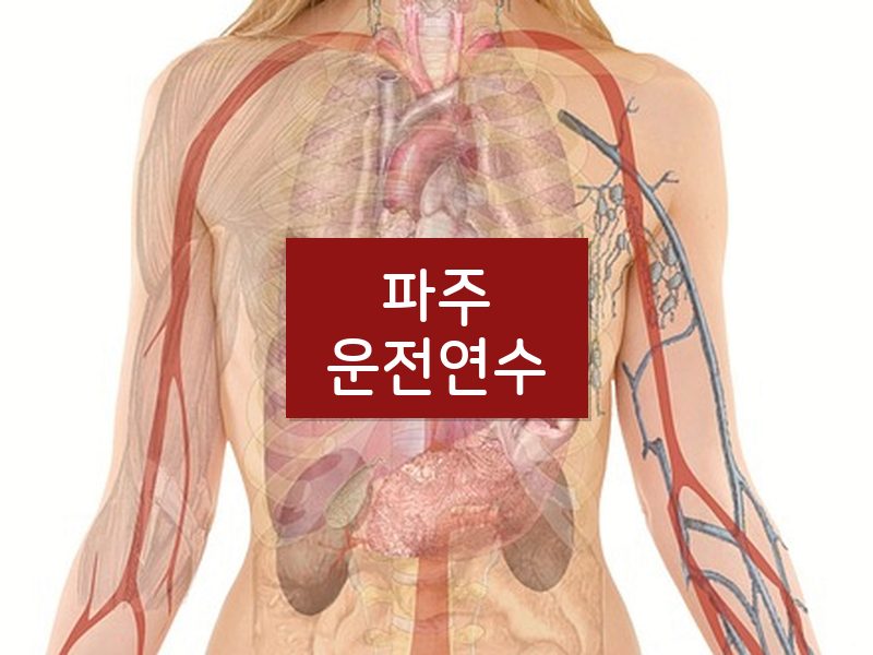 파주운전연수 후기