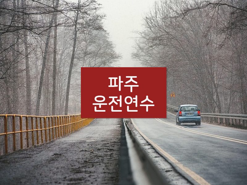 파주운전연수 후기