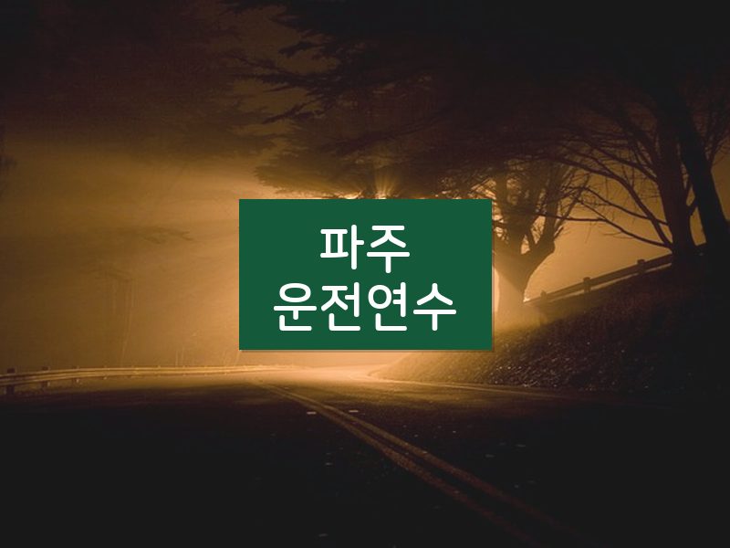 파주운전연수 후기